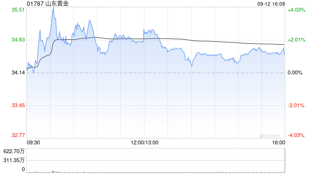 山东黄金终止向特定对象发行A股股票